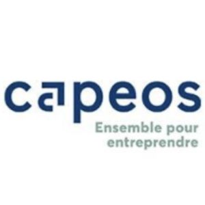 CAPEOS CONSEILS